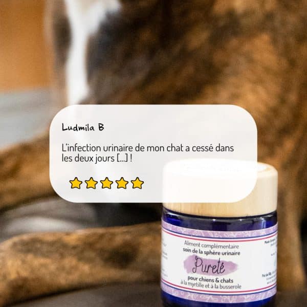 Cure courte compléments alimentaires Pureté pour chien et chat avis