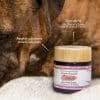 Cure courte compléments alimentaires Sérénité anti stress et apaisant pour chien et chat