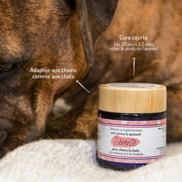 Cure courte compléments alimentaires Sérénité anti stress et apaisant pour chien et chat