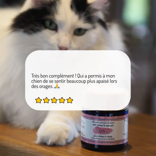 Cure courte compléments alimentaires Sérénité anti stress et apaisant pour chien et chat