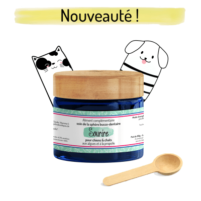 sourire chien et chat complément alimentaire naturel hygiène bucco-dentaire phytothérapie