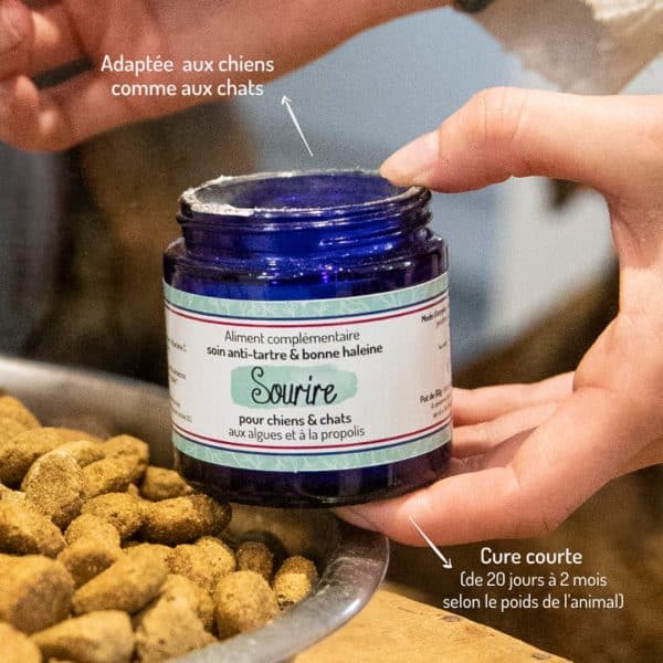 Cure courte compléments alimentaires Sourire pour chien et chat pointsforts