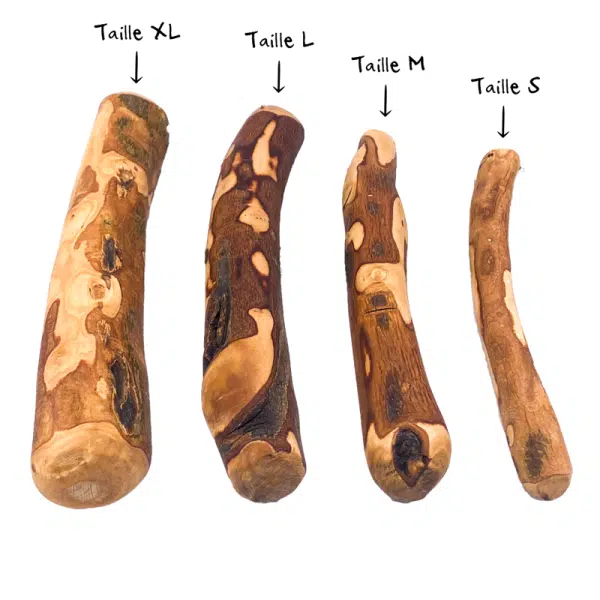 Gamme de bois d'olivier, jouets à mâcher pour chiens
