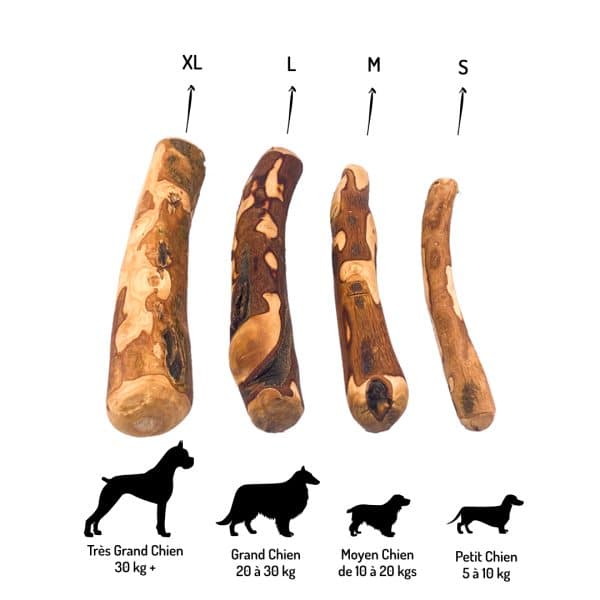 Bois Olivier jouet à mâcher pour chiens