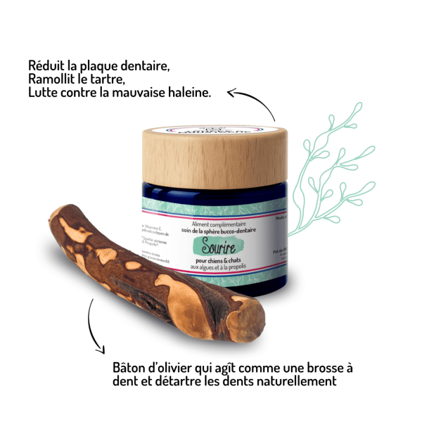 Bois d'olivier, jouet à mâcher pour chien + sourire, complément alimentaire antitartre et bonne haleine