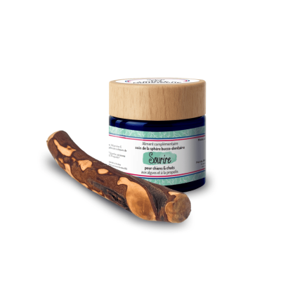 Bois d'olivier, jouet à mâcher pour chien + sourire, complément alimentaire antitartre et bonne haleine