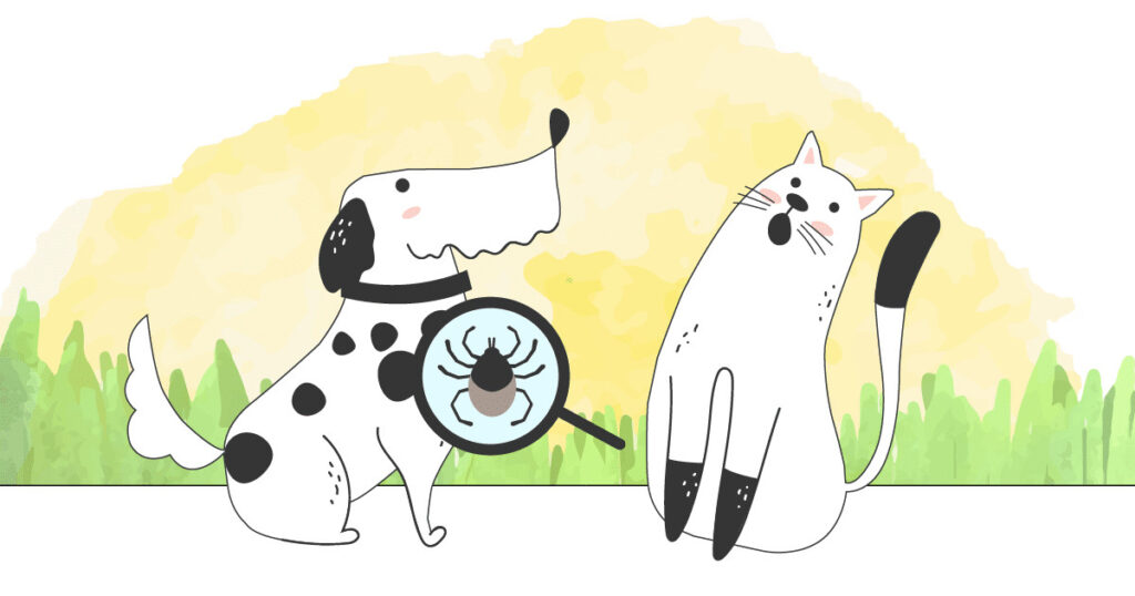 parasite chien chat puce tique vers