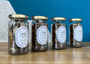 Friandises naturelles et saines chiens et chats poulet poisson canard sprats