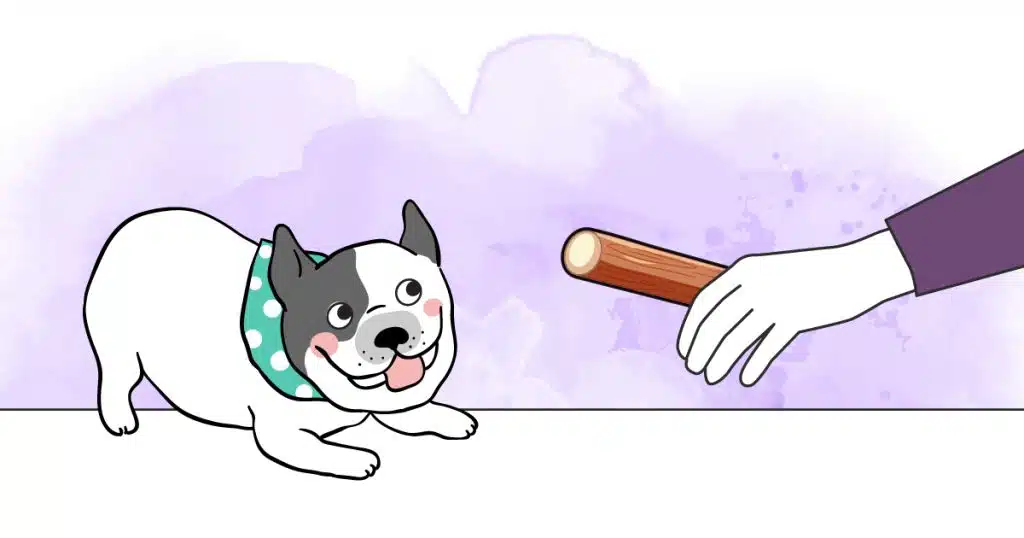 illustration article chien mastication bois olivier à macher