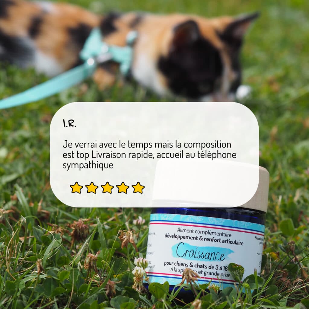 Cure courte compléments alimentaires Croissance pour chien et chat