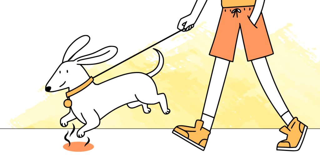 illustration article brulure coussinet patte chien