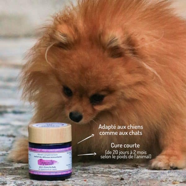 Cure courte compléments alimentaires Immunité pour chien et chat