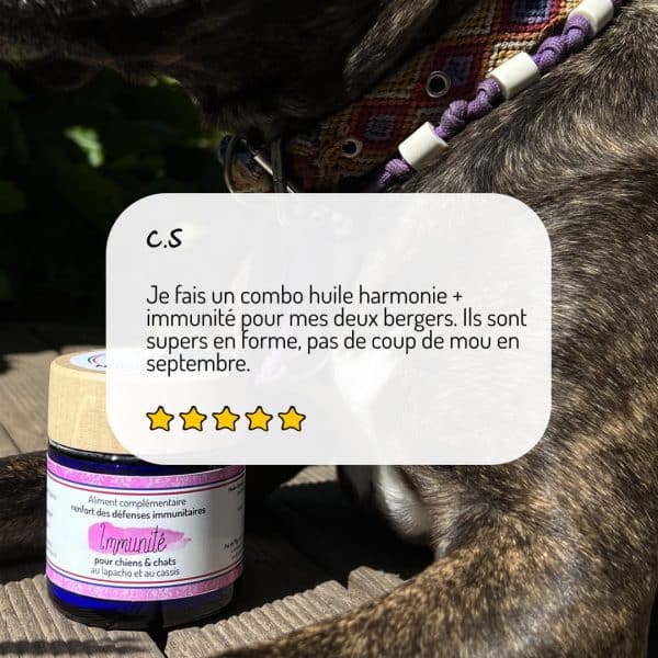 immunité chien et chat défense immunitaire avis
