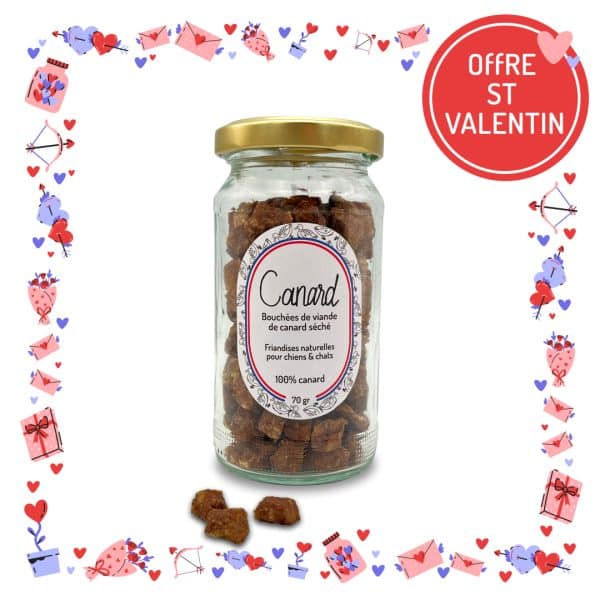 Ballotin de friandises pour chiens et chats canard