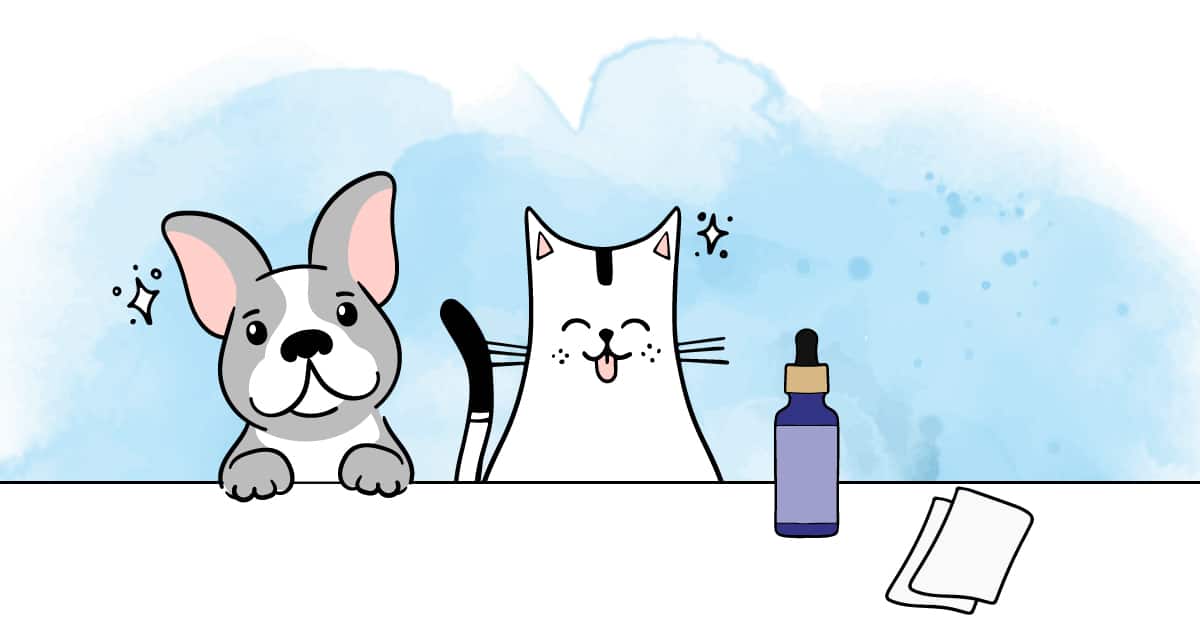 illustration article nettoyage oreilles chien chat