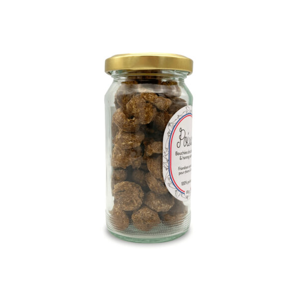 friandises poisson chien chat récompense éducation