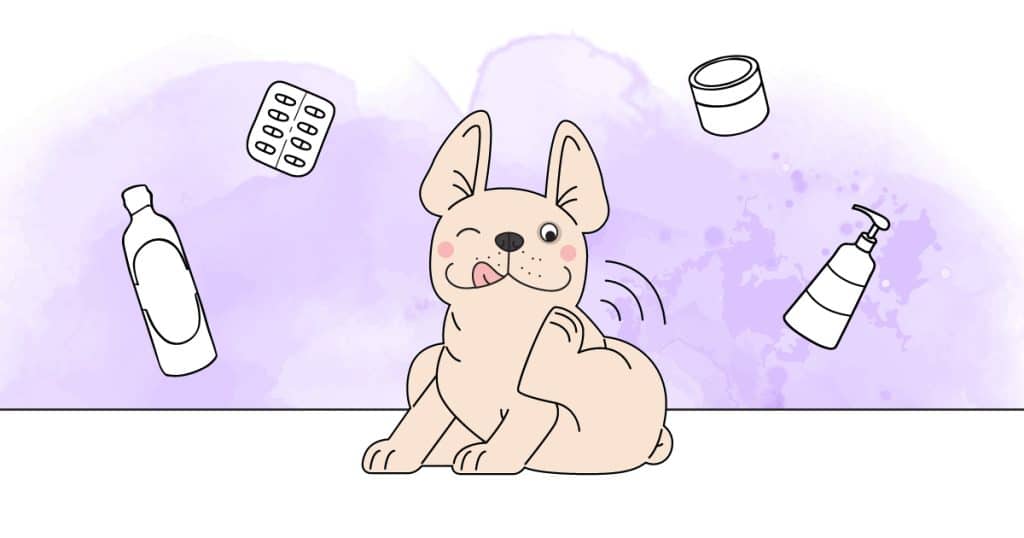 illustration dermatite atopique chien