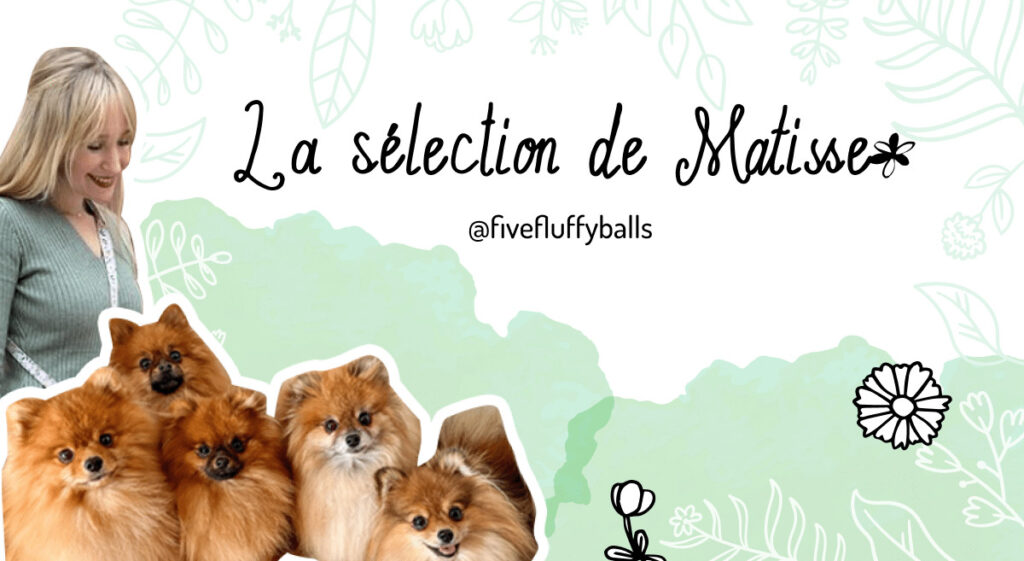 sélection de matisse ambassadrice