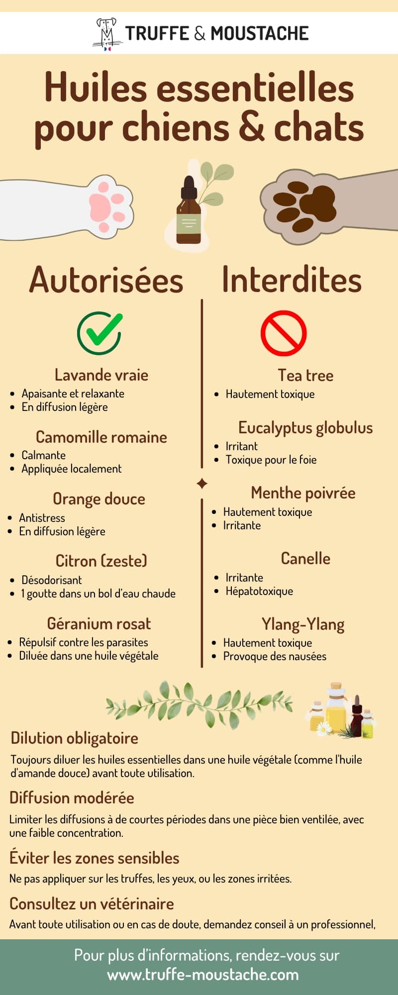 Infographie : Les huiles essentielles pour chiens et chats