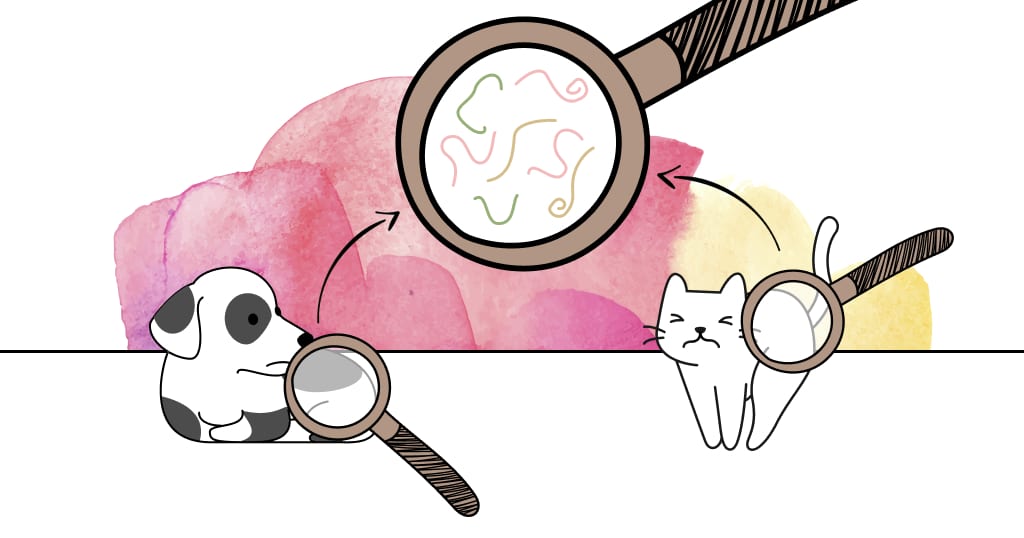 vermifuges naturels chiens chats parasites internes vers