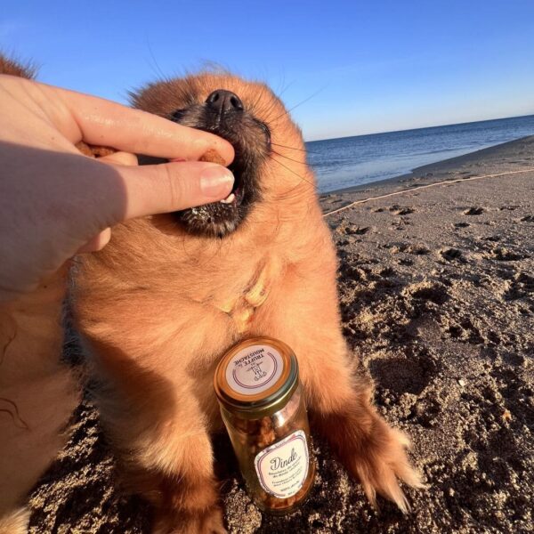 friandises naturelles 100% viande de dinde chiens et chats
