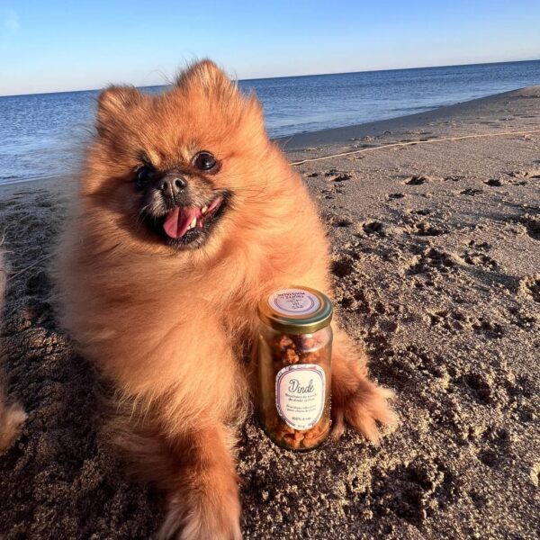 friandises naturelles 100% viande de dinde chiens et chats