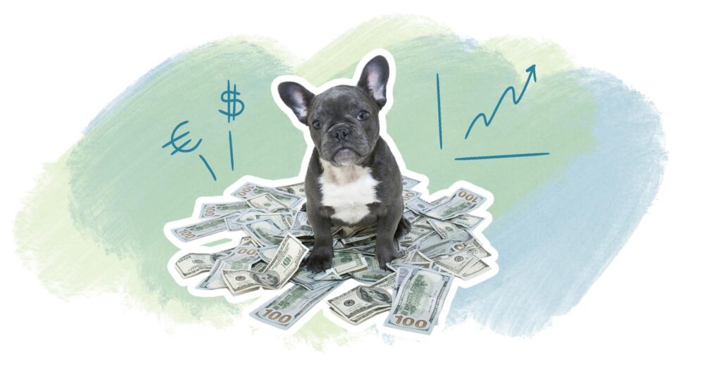 Illustration_article_blog_evolution_prix