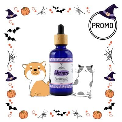 Soin nettoyant naturel chien chat halloween