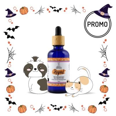 Soin nettoyant naturel chien chat halloween