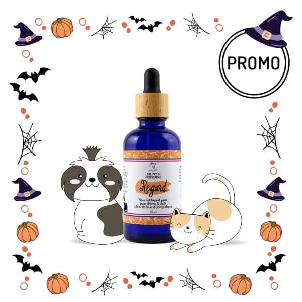 Soin nettoyant naturel chien chat halloween