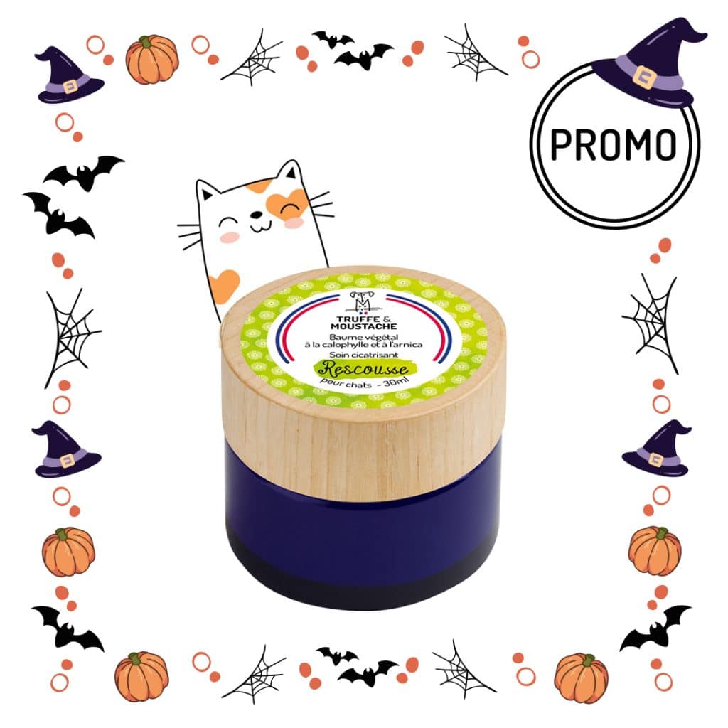 Baume naturel chien chat halloween