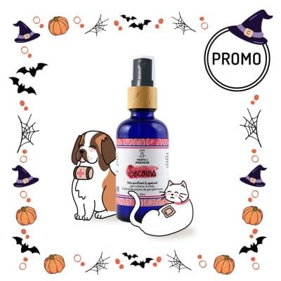 Soin nettoyant naturel chien chat halloween