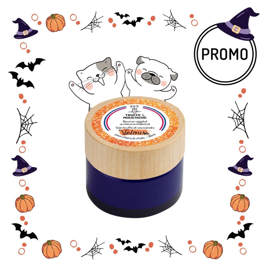 Baume naturel chien chat halloween