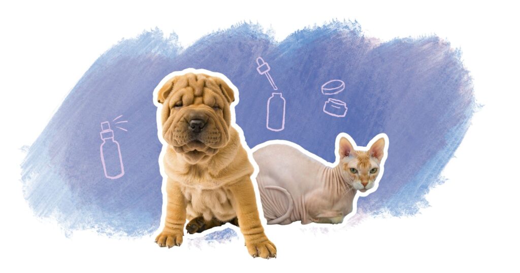 illustration entretien plis de peau chez le chien et le chat