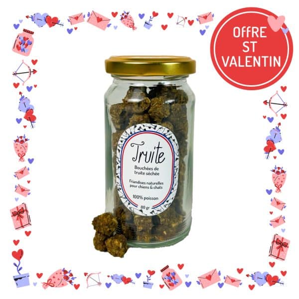 Ballotin de friandises pour chiens et chats truite
