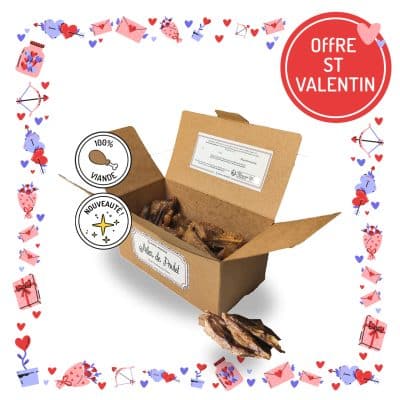 Ballotin de friandises pour chiens et chats ailes poulet