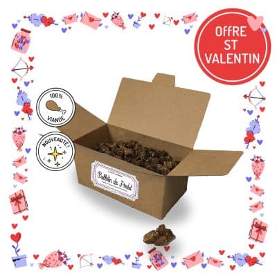 Ballotin de friandises pour chiens et chats poulet