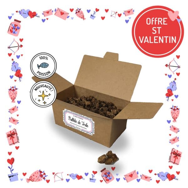 Ballotin de friandises pour chiens et chats truite