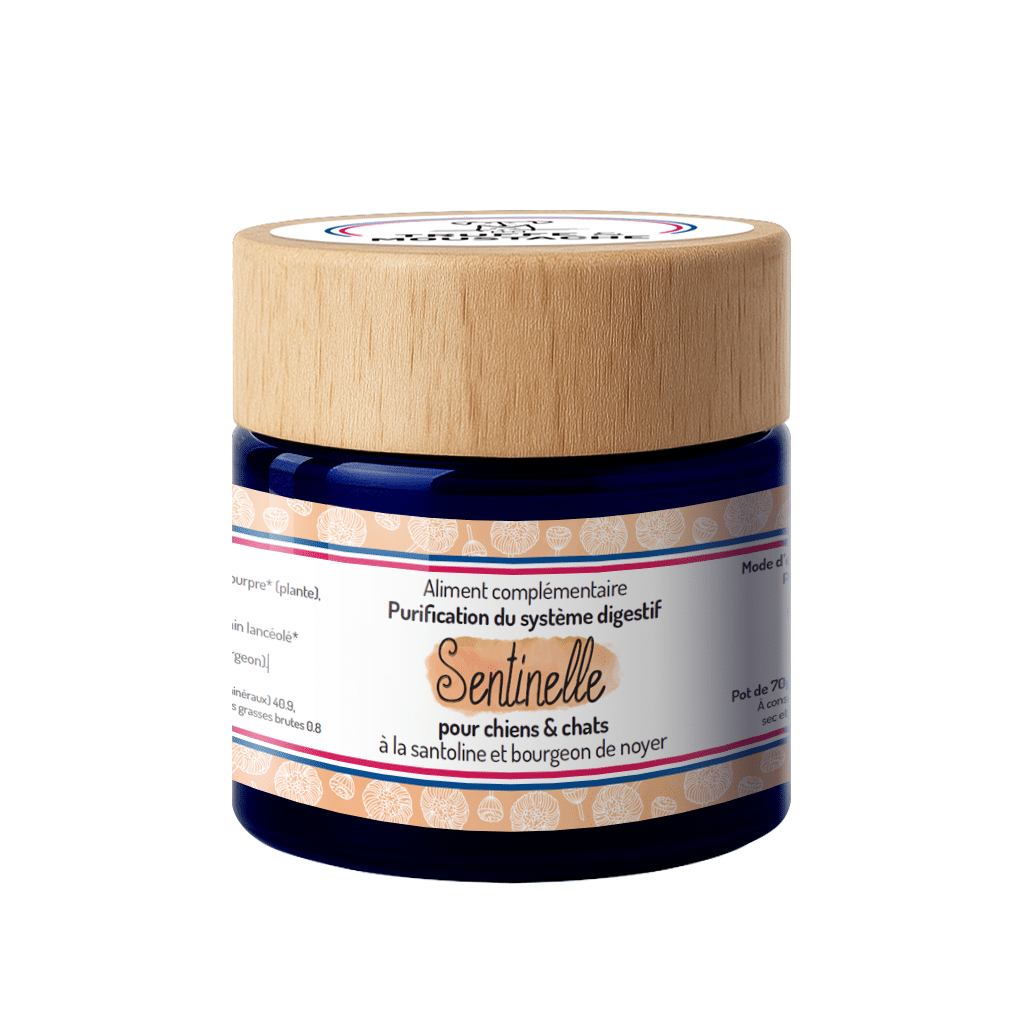 sentinelle cure naturelle purification système digestif antiparasitaire interne vermifuge chien et chat