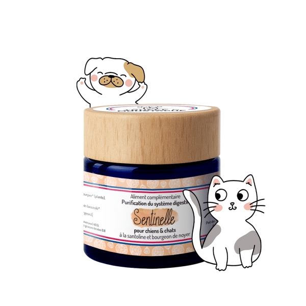 sentinelle cure naturelle purification système digestif antiparasitaire interne vermifuge chien et chat