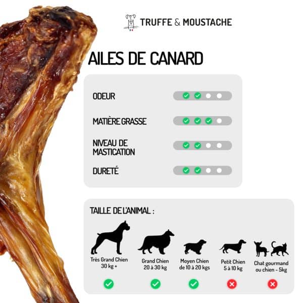 friandises ailes de canard chien + 10kg