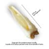 oreilles chèvre friandises chiens mastication naturelle