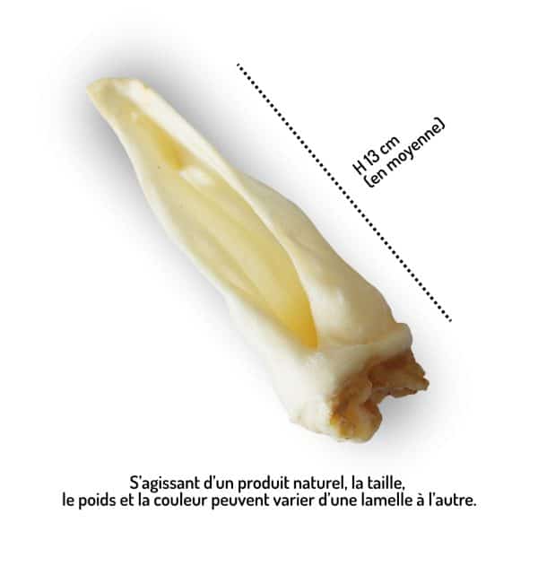 oreilles chèvre friandises chiens mastication naturelle