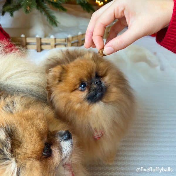 ballotins de friandises naturelles pour chiens et chats - médaillon de truite - 100% poisson