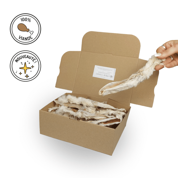 oreilles lapins avec poils friandises chiens mastication naturelle