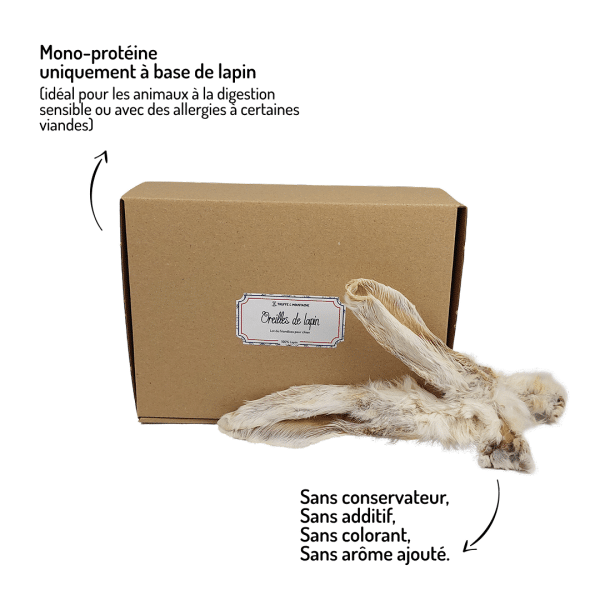 oreilles lapins avec poils friandises chiens mastication naturelle