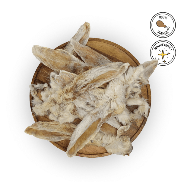 oreilles lapins avec poils friandises chiens mastication naturelle