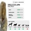 oreilles lapins avec poils friandises chiens mastication naturelle