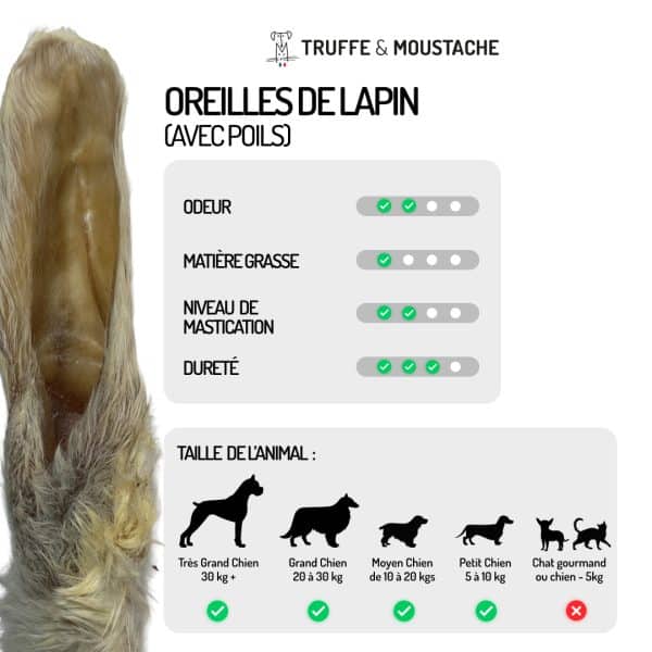 oreilles lapins avec poils friandises chiens mastication naturelle