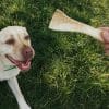 peaux de bœuf friandises chiens mastication naturelle